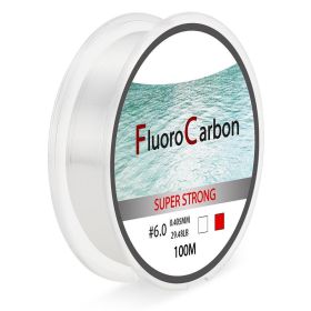 100 Meter Competitive Silk Nylon Fishing Line (Option: Transparent-5.0)